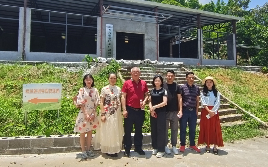 微信截图_20240603101723.png